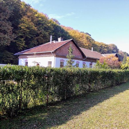 미슈콜츠 Parva Foresta 아파트 외부 사진